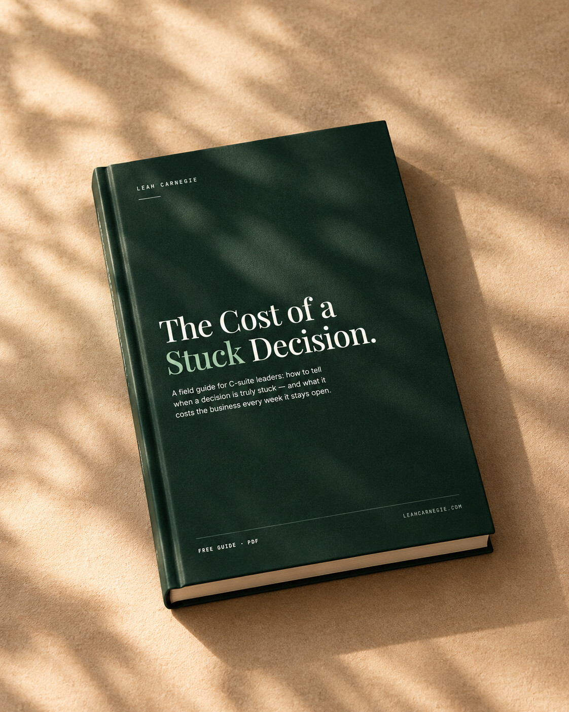 The Cost of a Stuck Decision: free guide for C-suite leaders by Leah Carnegie